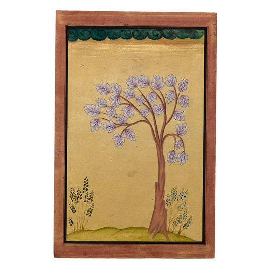 Blush Colored Blossom Tree on Yellow Background