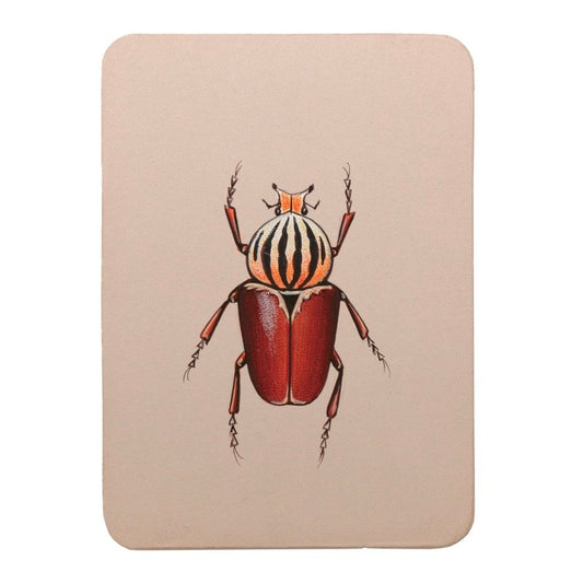 Brown Beetle