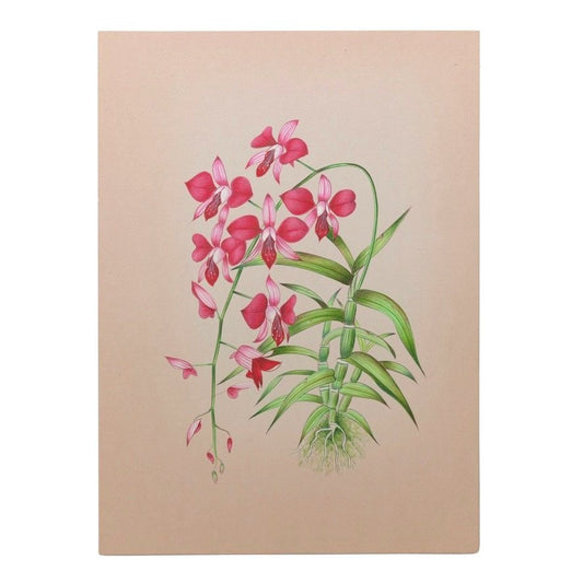 Pink Orchid Miniature