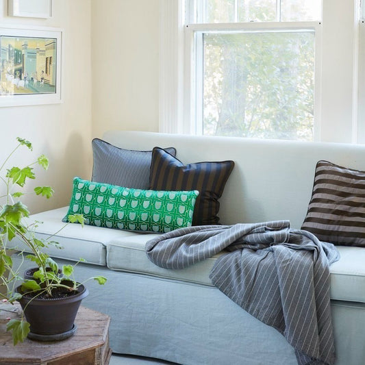 Banarsi Silk Pillows & Pinstripe Blanket