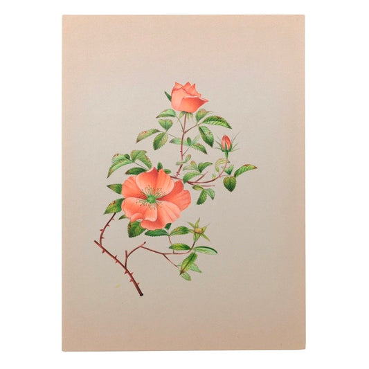 Orange Rose Miniature