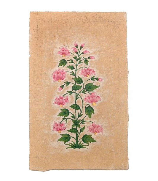 Pink Mughal Flower Plant