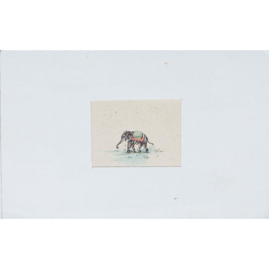 Teeny Elephant